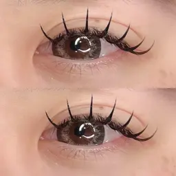 バインドロック80束 ¥6,750