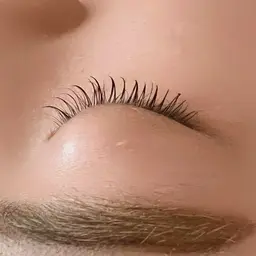 2ヶ月以内に再来のお客様