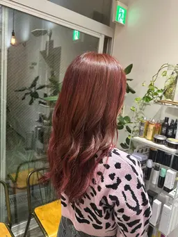 【ミニモ学割クリスマス年末年始向け】お洒落ワンカラー