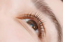 🚨期間限定価格🚨【目元パッチリ垢抜けラッシュリフト✨】逆さまつ毛の方必見👀✨