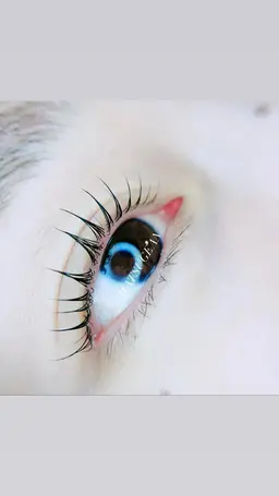 人気No.1！高浸透トリートメント付♪まつ毛パーマ