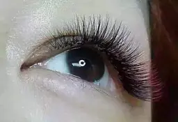 最先端技術【軽量、持続、ボリュ-ム！メガフラツトラッシュ】100束