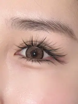 バインドロック！超軽量！高持続！大人気！フラットラッシュ40本、40束