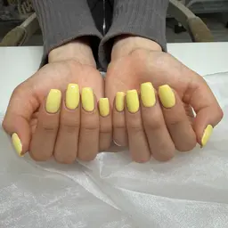 4/10(金)9:30〜 ワンカラーのモデル募集