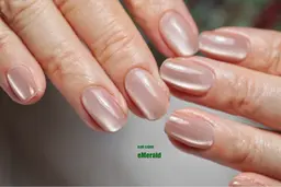 【初回限定！他店施術ジェルオフ無料⭐️オフ無しは1,000円引き⭐️】ハンドジェル ワンカラー/グラデーション/フレンチ