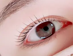 ラッシュリフト