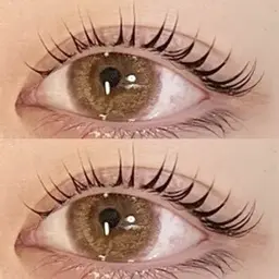 【韓国大流行♪】マスカラパーマ