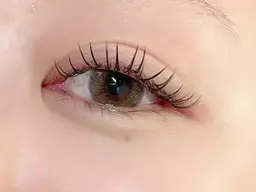 最高品質セーブルシングル100本(オフ込み)