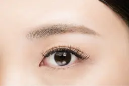 ダブルフラットラッシュ100束（200本）