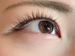 フラットラッシュ★《80本》￥4,000