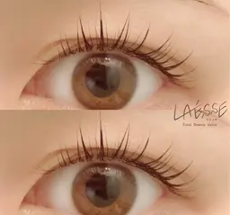 ミニモ限定🫧〈学割U24〉ラッシュリフト👀まつ毛パーマ✨コーティング仕上げ🪄︎︎