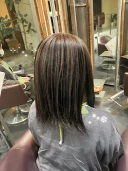 🤍ハイライト+フルカラー 🤍NGの方【黒染め、縮毛矯正の履歴がある方】