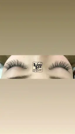 🪽シングルラッシュ  つけ放題(200本)