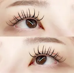 超軽量！！【フラットラッシュ100​〜​120本🌷】オフ込み