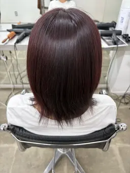 ワンカラー＋トリートメント