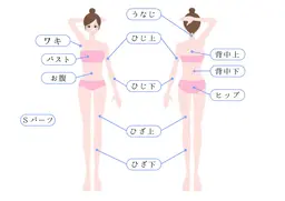 Sパーツ《ワキ･バスト･お腹･肘下･肘上･うなじ･背中上･背中下･ヒップ･膝上･膝下》から1部位お選びください