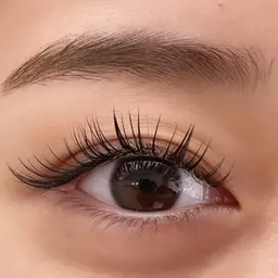 【オフなし】フラットラッシュ100本