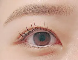 価格 lush lift上のみ