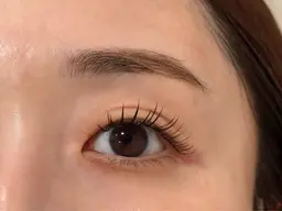 ダブルフラットラッシュ　80束