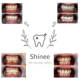 ママ応援プラン