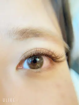 ⭐️カラー4Dボリュームラッシュ350本⭐️