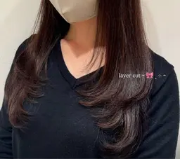 レイヤーカットモデル