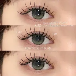 【新規】staff人気🌟ナチュラルバインド80束／オフ希望の方+¥500