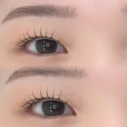 アイブロウスタイリング（眉毛ワックス）➕まつげパーマ（アイシャンプー付き）🧁🎀無料コーティング仕上げ⸝꙳.⋆