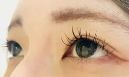 ダブルフラットラッシュ80束モニターモデル