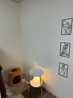 よもぎ蒸し体験