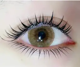 ワンホン☆アニメ束デザインエクステンション上下セット　フラットラッシュ