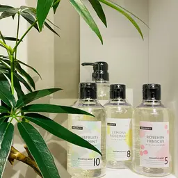 【頭皮マッサージ】カット+ショートスパ＋2ステップトリートメント🌈