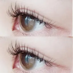 🎀5日13:00限定🎀バインドパーマ【バインドロック×パーマ】¦60〜80束¦⚠️講習モデル