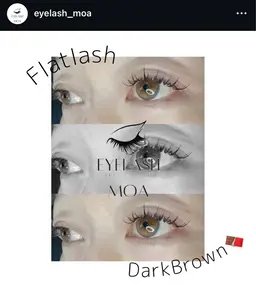 フラットラッシュ:（両目）80本