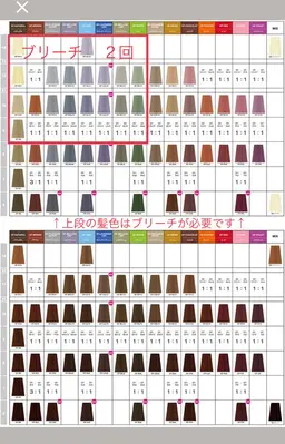 🉐カラー【お勧め】