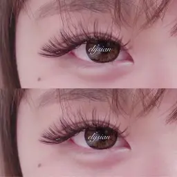 【新規】人気No1❗️ボリュームラッシュ(上) 600 本　オフ込