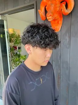 【メンズ限定】✨メンズカット＋ケアパーマ【ツイスパ、波巻き、スパイラル等】＋TR✨