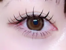 【2.3回目限定25%オフ】バインドロック120束✨