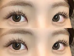 限定ダブルフラットラッシュ80束