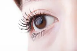 【遠藤専用】上下まつ毛パーマ