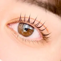 韓国で大人気のマスカラパーマ🇰🇷【ブラックティント】