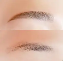 HBL &ワックス脱毛セット🎀眉毛の毛流れを整え＆ムダ毛を除毛　カット込み🎀