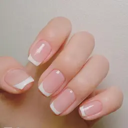 (オフなし)フレンチ/カラーグラデーション