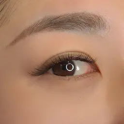 🌵ボリュームラッシュ 120本🌵オフ込み🌵