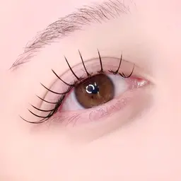 フラットラッシュ┊ 120本🌛‧˚バインド