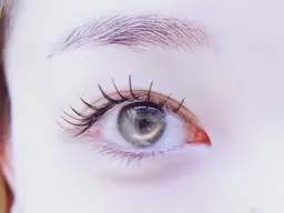 【初回】フラットラッシュ🌺オフ込み🌺90分つけ放題🌺