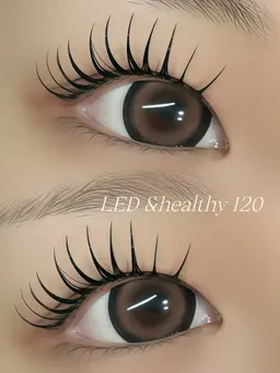 【🩰人気No.1🎀】束が作りやすい🤍LEDアンドヘルシー120本🎶🐈‍⬛