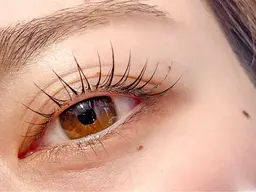 ‼️集まり次第掲載終了‼️【3/9 13:00のみ】まつげパーマデモンストレーションモデル