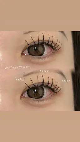 本日限定🎀✧︎*。【オフ別途】フラットラッシュ120本🖤