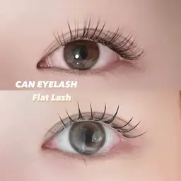 フラットラッシュ50本（オフなし）